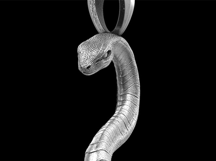 Snake Pendant No.1 3d printed 