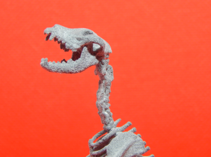 Skeletal Wolf (Sitting) 3d printed 