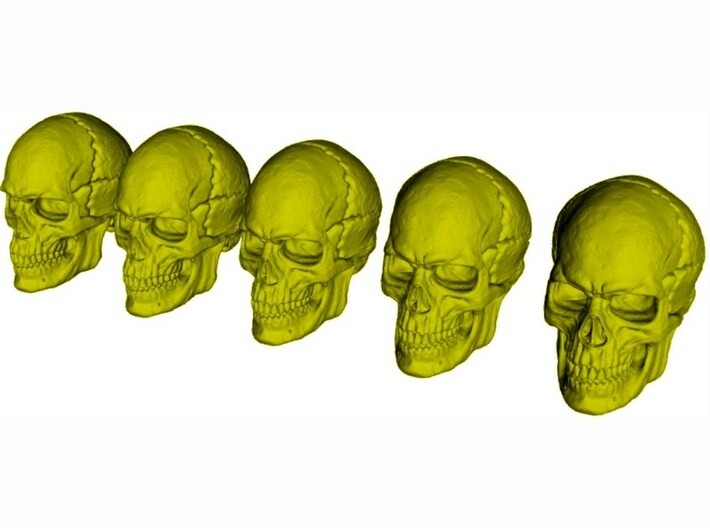 1/24 scale human skull miniatures x 5 3d printed