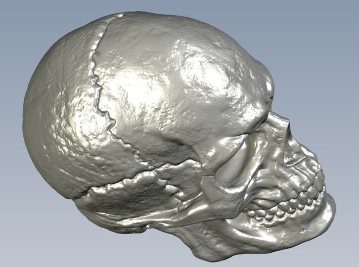 1/18 scale human skull miniatures x 10 3d printed 