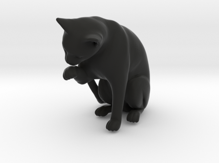 Cat Cleaning Paw 3d printed