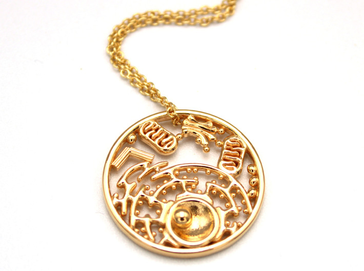 Animal Cell Pendant - Science Jewelry 3d printed Animal Cell Pendant in 14K gold plated brass