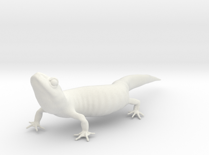 Salamander 10.7cm 3d printed