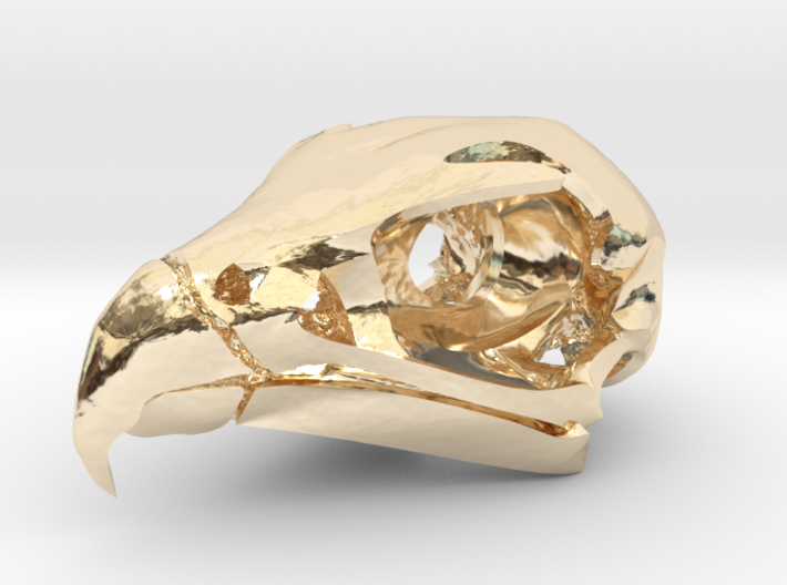 Peregrine Falcon Skull Pendant 3d printed