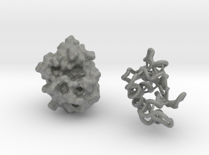 Lysozyme 50 mill X - ribbon and molecular surface 3d printed