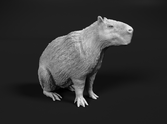 Capybara 1:6 Sitting Female 3d printed