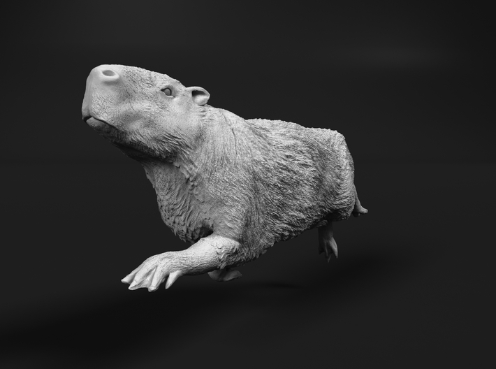 Capybara 1:48 Swimming Male 3d printed 