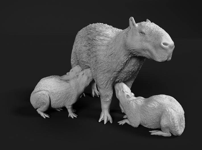 Capybara 1:35 Mother with three young 3d printed 