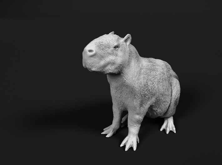 Capybara 1:48 Sitting Young 3d printed