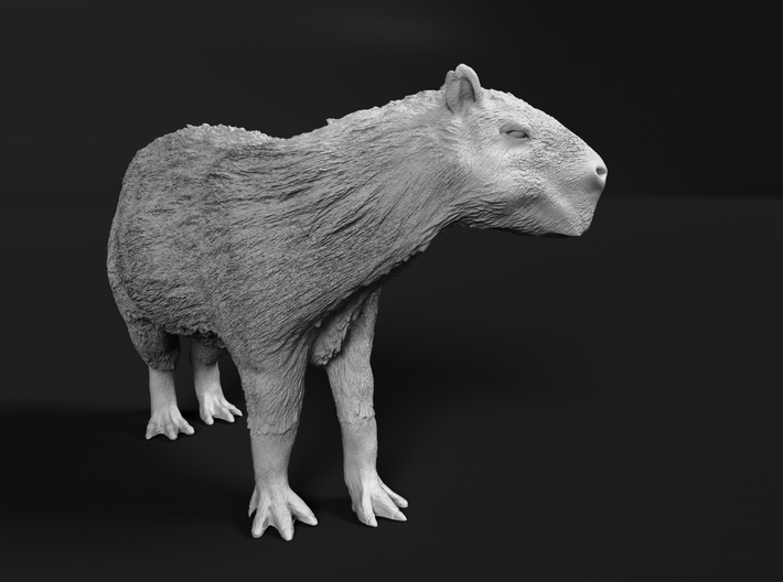 Capybara 1:64 Standing Female 3d printed