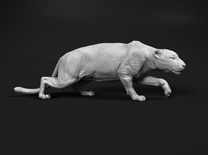 miniNature's 3D printing animals - Update January 5: multiple new models and appearance on Dutch tv - Page 18 710x528_36575940_19193868_1639864189_1_0