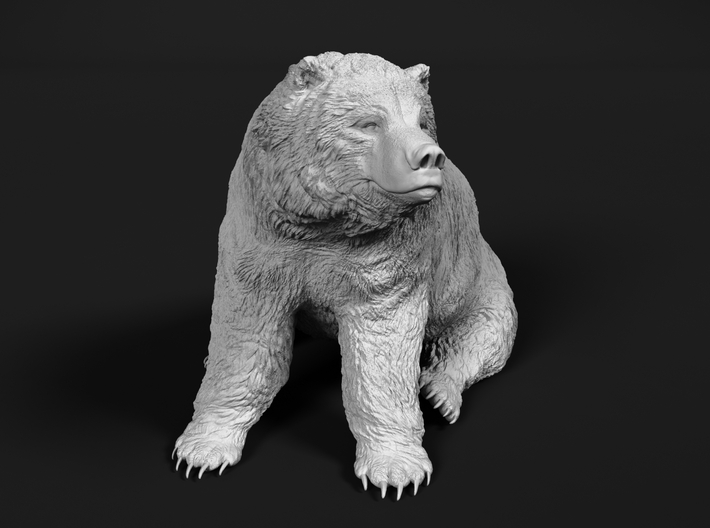 Grizzly Bear 1:6 Sitting Male 3d printed 