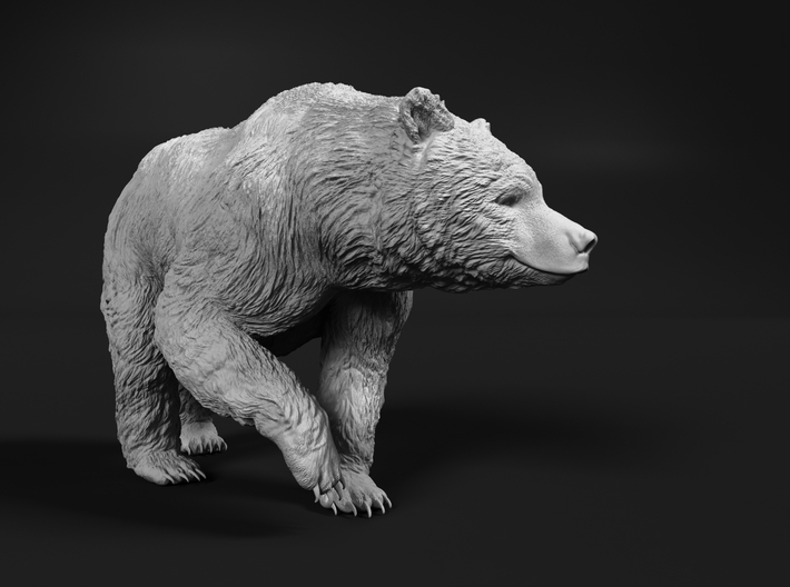 Grizzly Bear 1:16 Walking Female 3d printed