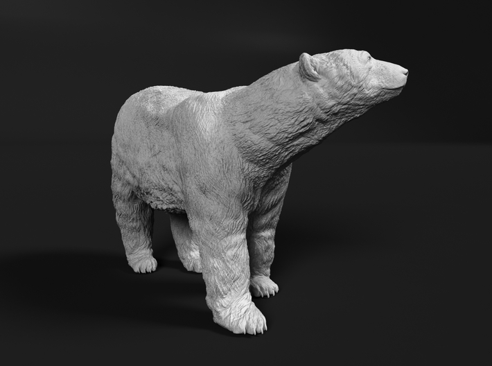 Polar Bear 1:45 Large Male 3d printed 