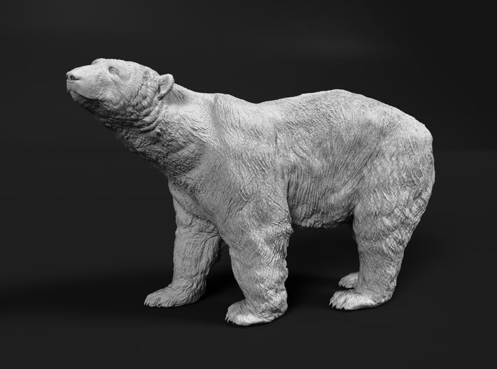 Polar Bear 1:87 Large Male 3d printed
