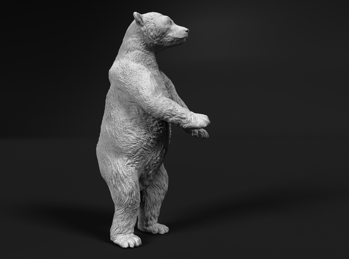 Polar Bear 1:12 Juvenile on two legs 3d printed
