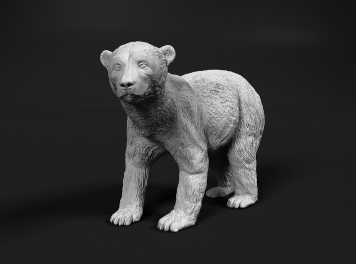 Polar Bear 1:6 Standing Juvenile 3d printed 