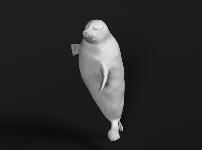 Ringed Seal 1:25 Head above the water 3d printed 