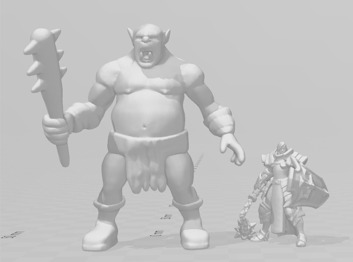 Wild Ogre 70mm miniature model fantasy games dnd 3d printed 