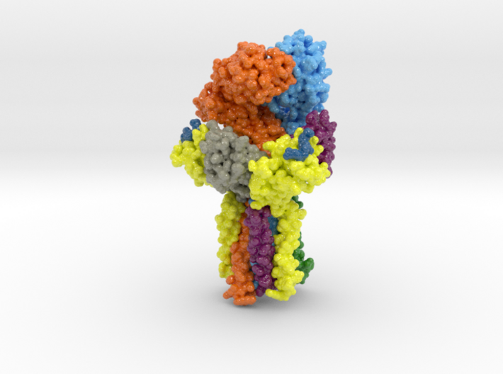 T cell receptor CD3 Complex 6JXR 3d printed