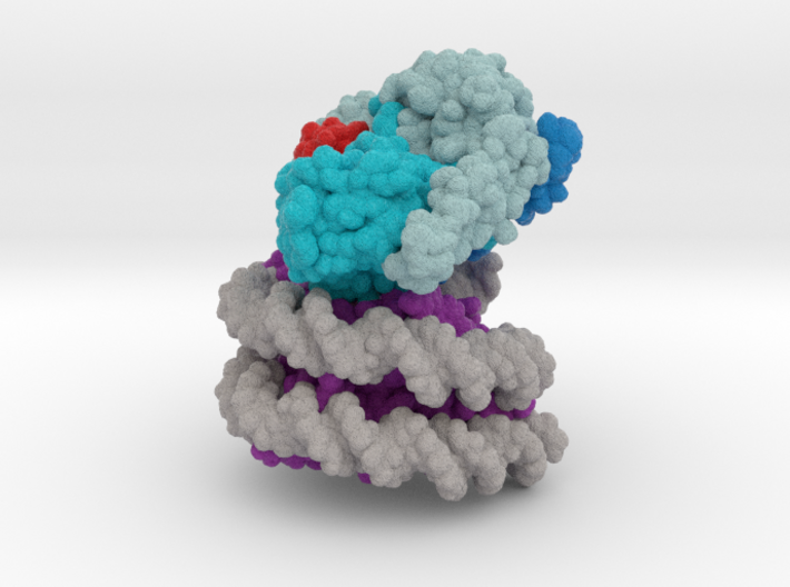 Nucleosome 6UH5 vA4 3d printed