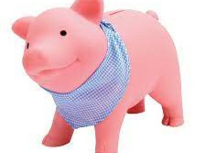 Plug for Rubber Piggy Bank by Schylling 3d printed Piggy Bank the product fits
