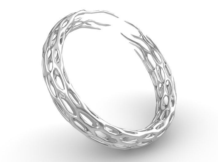 Cholla Ring 3d printed 