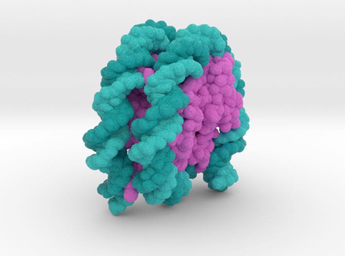 Nucleosome 6PWE 3d printed