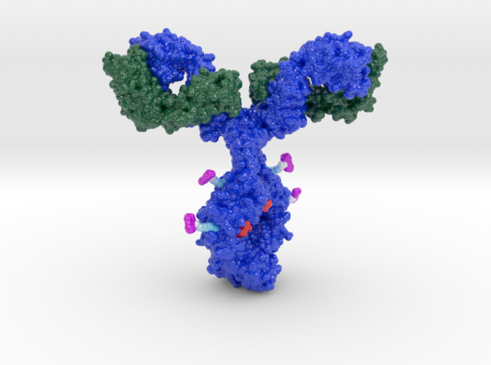 Antibody Drug Conjugate - Debiopharm (Macro) 3d printed