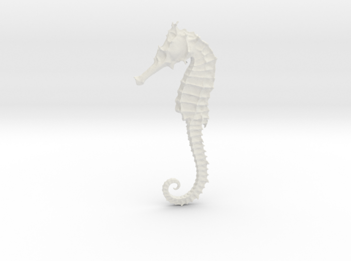 Sea horse, Seepferd, sea-horse 3d printed