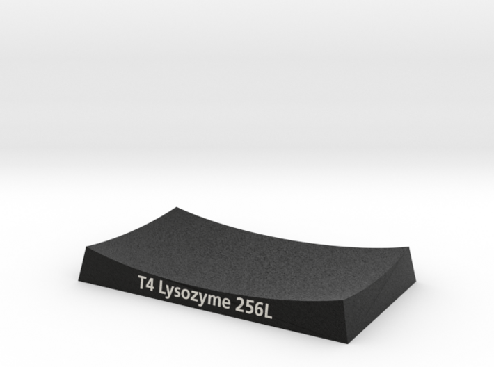 T4 Lysozyme Base 256L 3d printed