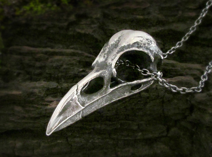 Large Raven Skull Necklace 3d printed Raven skull pendant in antique silver