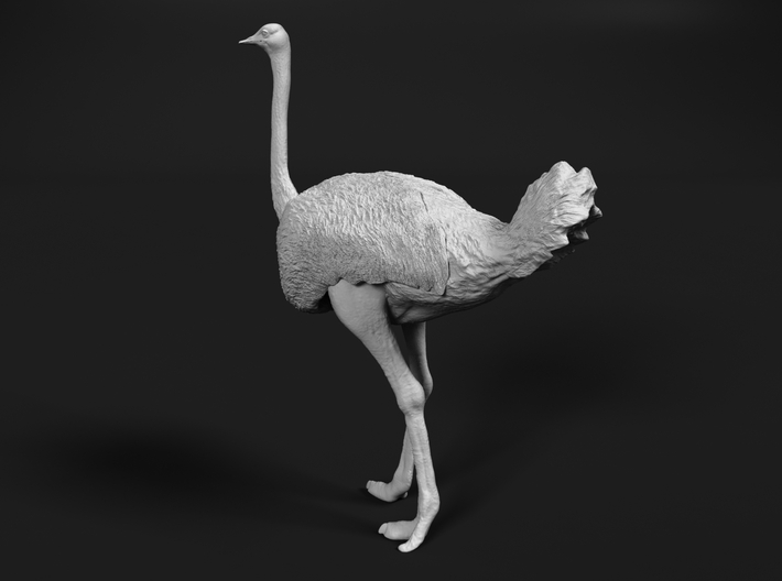 Ostrich 1:15 Standing Calm 3d printed 