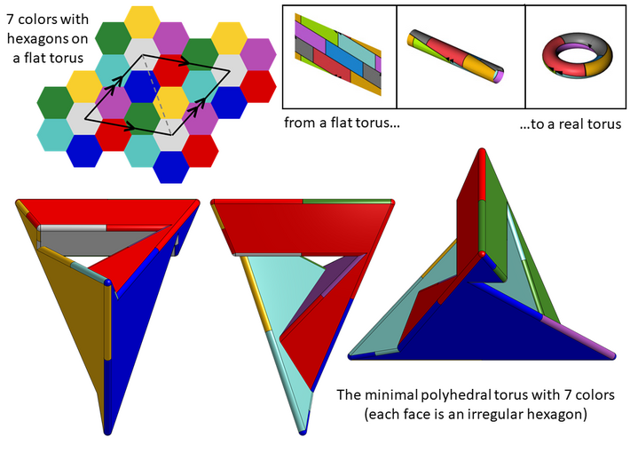 Szilassi polyhedron (small) 3d printed 7 colors Torus