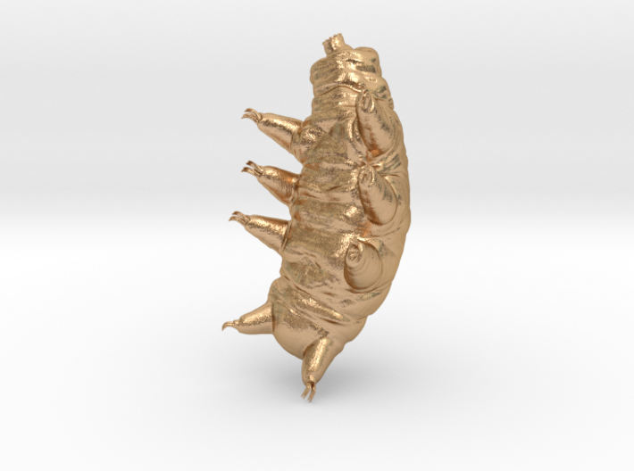 tardigrade pose 2 3d printed