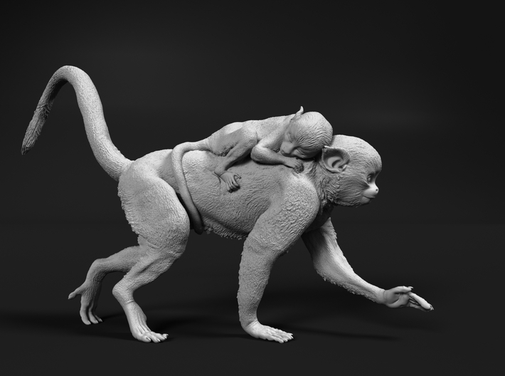 Squirrel Monkey 1:32 Female with baby 2 3d printed