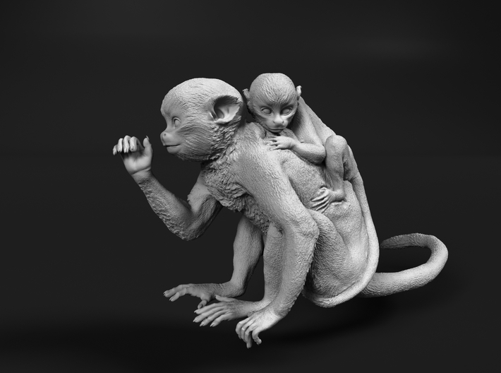 Squirrel Monkey 1:16 Female with baby 1 3d printed