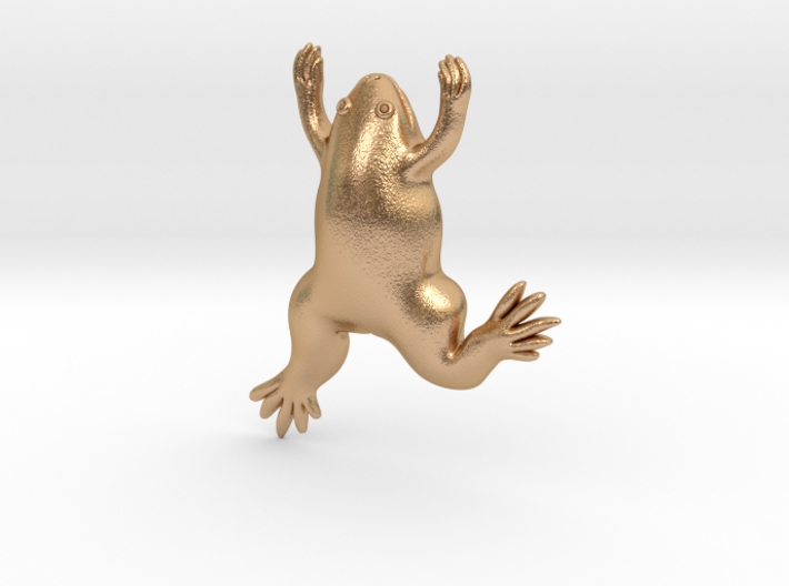 Xenopus Frog Pendant - Science Jewelry 3d printed
