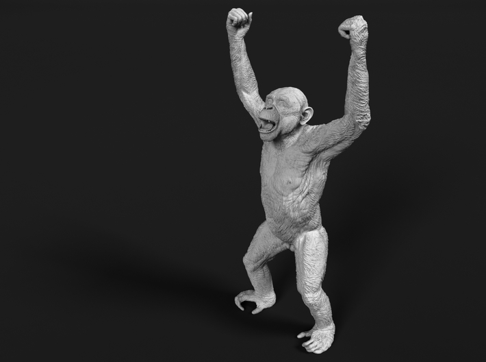 Chimpanzee 1:72 Male with raised arms 3d printed 