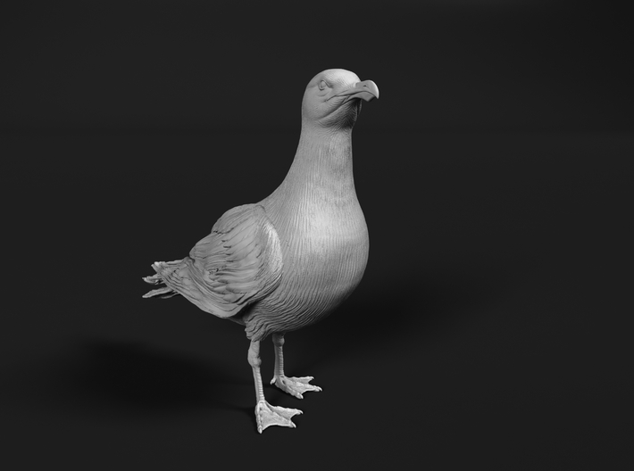 Glaucous Gull 1:45 Standing 1 3d printed 