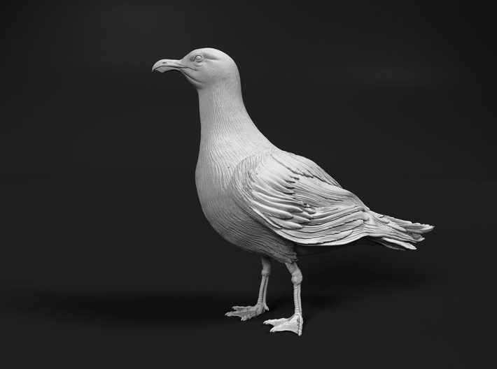 Glaucous Gull 1:48 Standing 1 3d printed