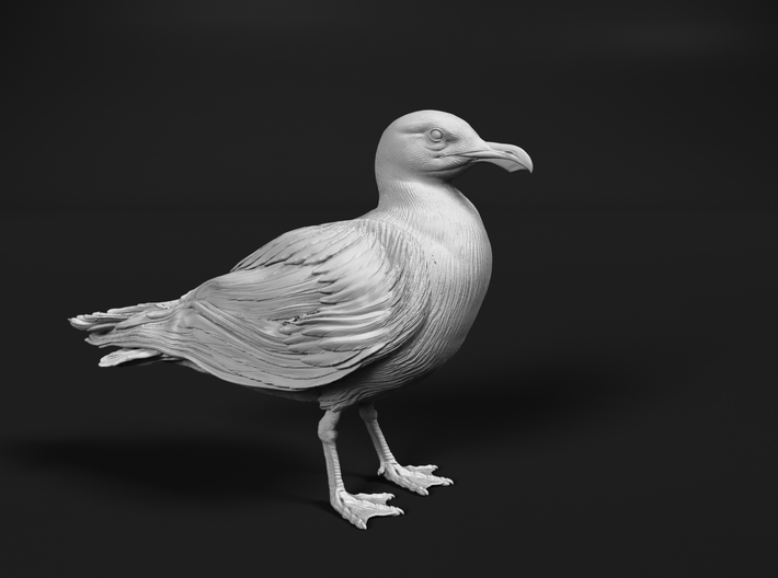 Glaucous Gull 1:24 Standing 2 3d printed