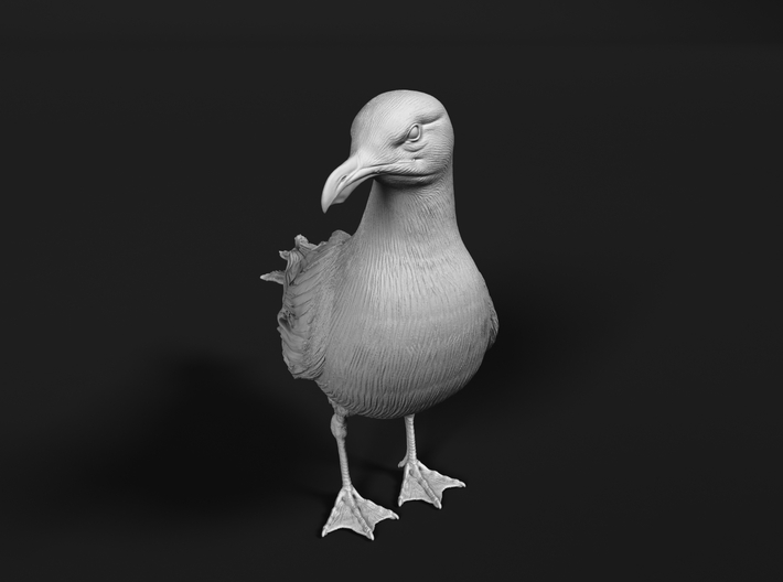 Glaucous Gull 1:20 Standing 3 3d printed 