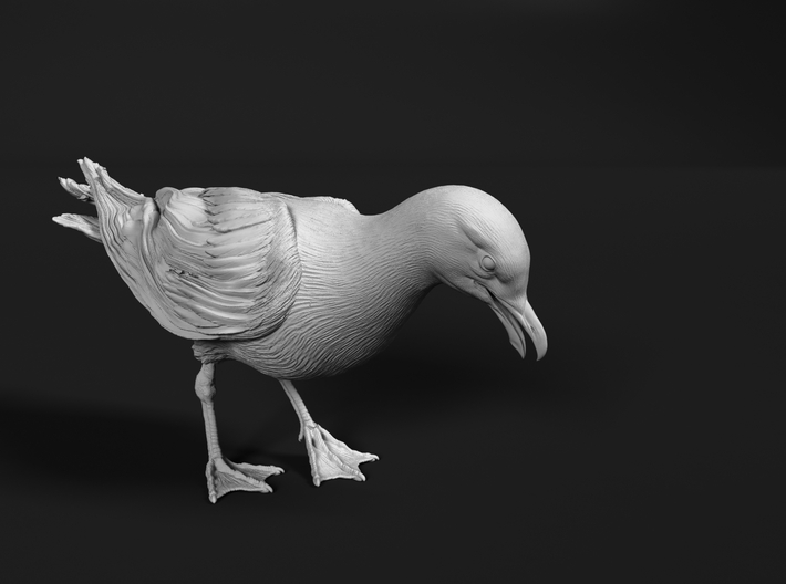 Herring Gull 1:25 Looking down 2 3d printed