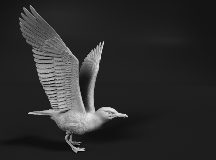 Herring Gull 1:16 Ready for take off 3d printed