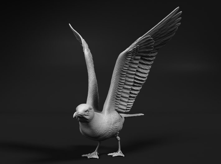Herring Gull 1:45 Ready for take off 3d printed 