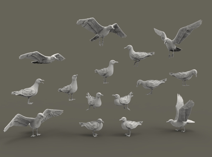 Herring Gull set 1:64 Fifteen different pieces 3d printed