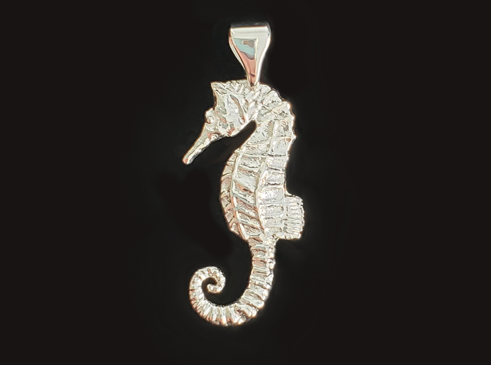 Seahorse Pendant 3d printed 