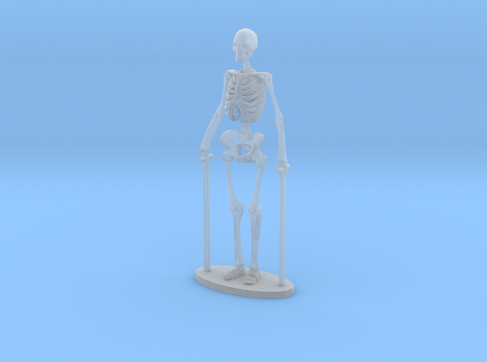 1-35 Scale Standing Skeleton 3d printed