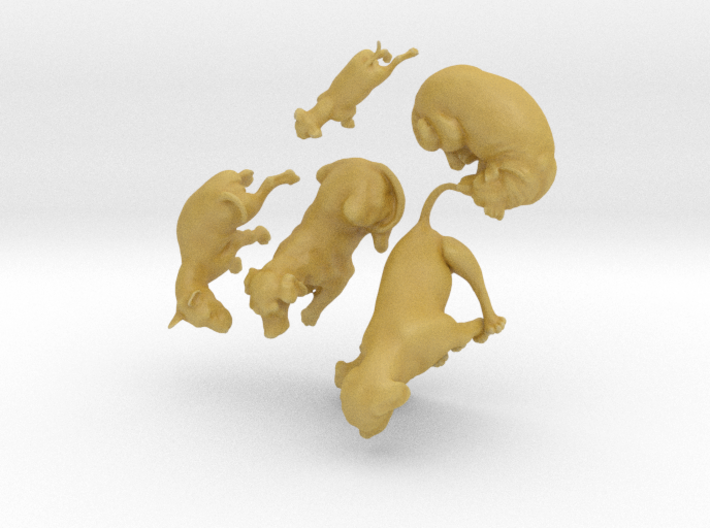 1/43 Pet Dogs Collection 3d printed
